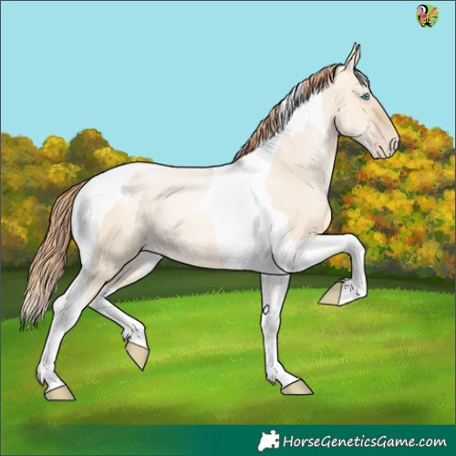 Horse Color:Gold Champagne Pearl Dun Tobiano 