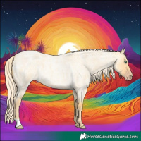 Horse Color:Gold Cream Champagne Roan Dun
