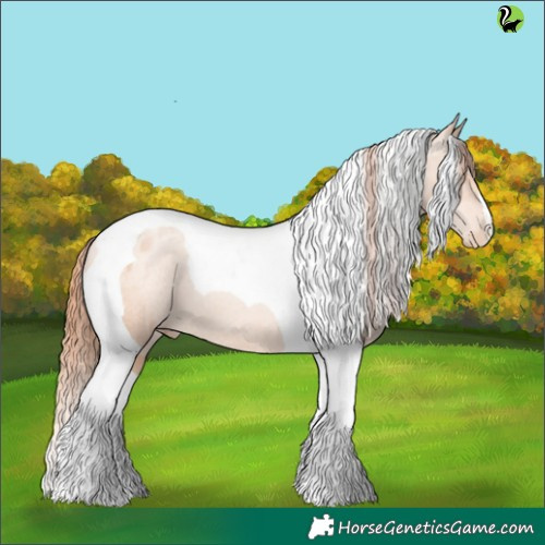Horse Color:Sable Champagne Pearl Tobiano Appaloosa 