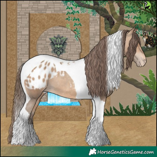 Horse Color:Amber Champagne Tobiano Appaloosa 