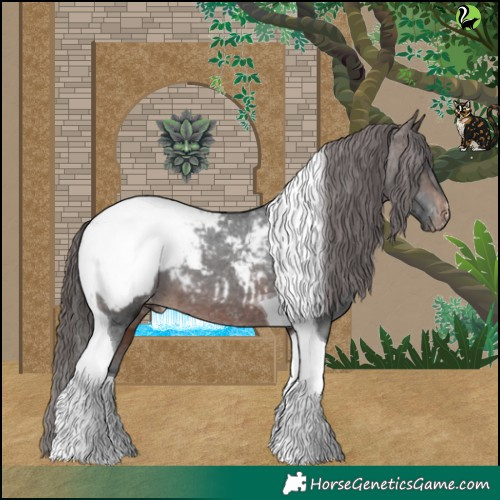 Horse Color:Brown Tobiano Appaloosa 