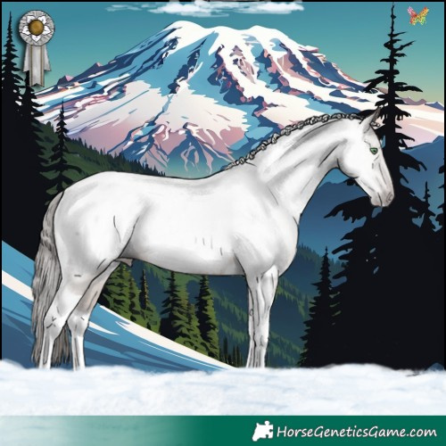 Horse Color:Gray Sable Champagne Tobiano Near Fewspot 