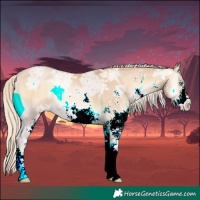 Horse Color:White Spotted Palomino Ice Pearl Onyx 