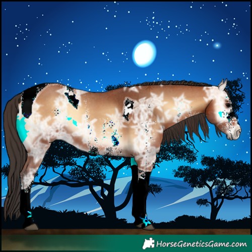 Horse Color:Bay Ice Onyx Sabino Tobiano 