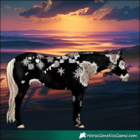 Horse Color:Painted Red Dun Ice Splash Tobiano Frame Rabicano 