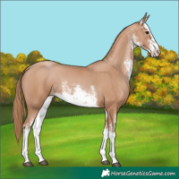 Horse Color:White Spotted Chocolate Black Pearl