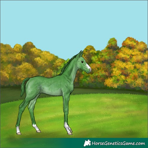Horse Color:Watercolor Brown 