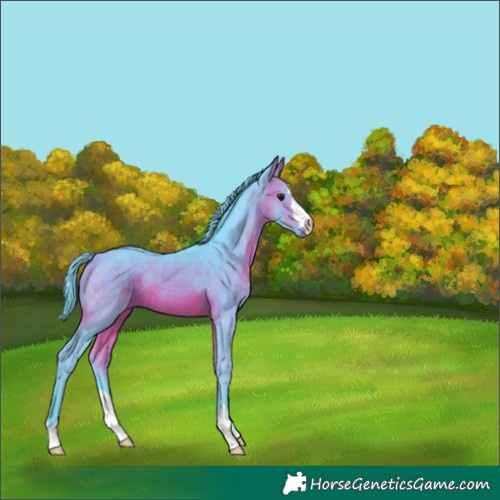 Horse Color:Watercolor Brown 