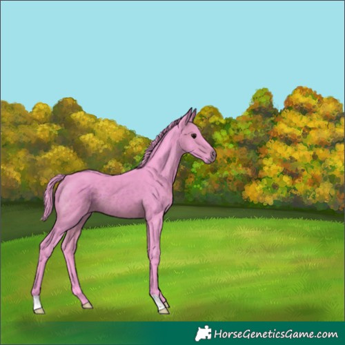 Horse Color:Watercolor Brown 