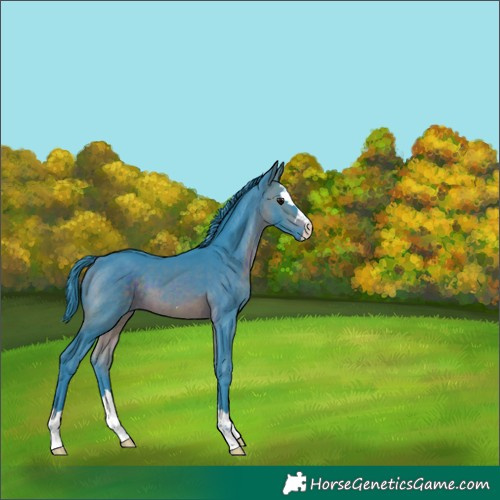 Horse Color:Watercolor Brown