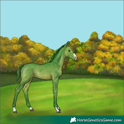 Horse Color:Watercolor Brown Rabicano