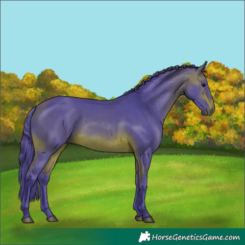Horse Color:Watercolor Brown 