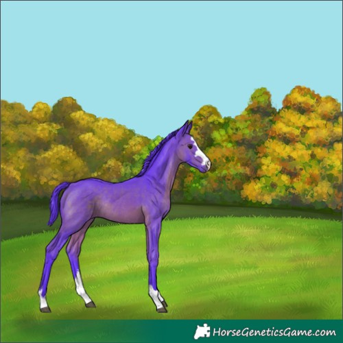 Horse Color:Watercolor Brown Rabicano 
