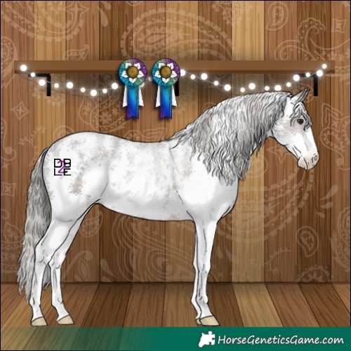 Horse Color:Liver Chestnut Mushroom Sabino 