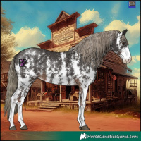 Horse Color:Liver Chestnut Mushroom Sabino 