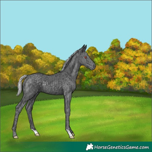 Horse Color:Silver Black Chinchilla Ice 