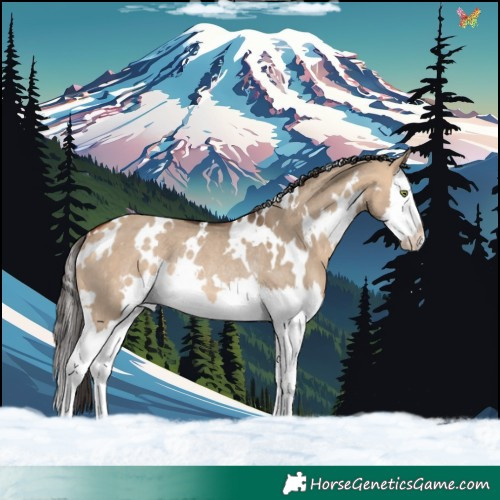 Horse Color:White Spotted Bay Dun Splash Rabicano 