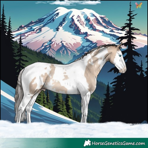 Horse Color:White Spotted Sable Champagne Dun Splash Tobiano Rabicano 