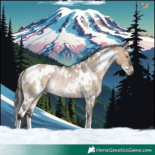 Horse Color:White Spotted Brown Dun Rabicano 
