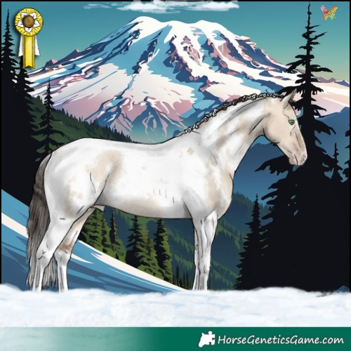 Horse Color:White Spotted Amber Champagne Dun Tobiano Rabicano 