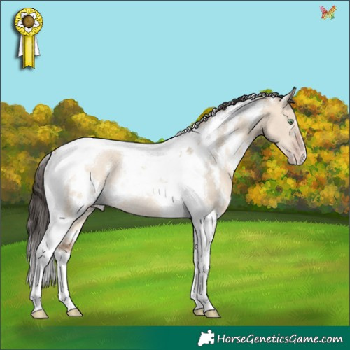 Horse Color:White Spotted Amber Champagne Dun Tobiano Rabicano 