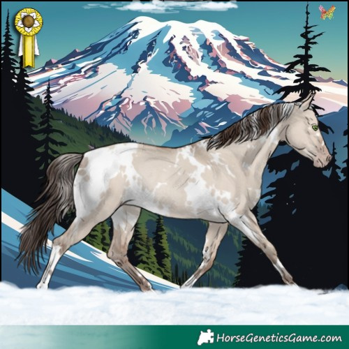 Horse Color:White Spotted Classic Champagne Dun Rabicano 