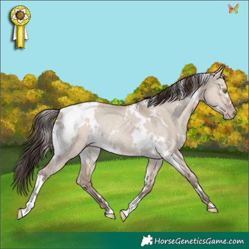 Horse Color:White Spotted Classic Champagne Dun Rabicano 