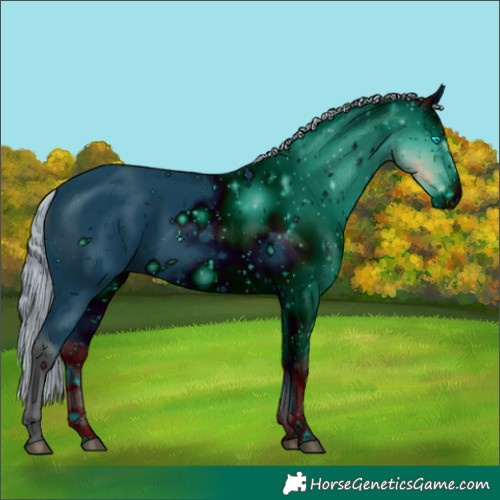 Horse Color:ERROR: UNKNOWN ANOMALY