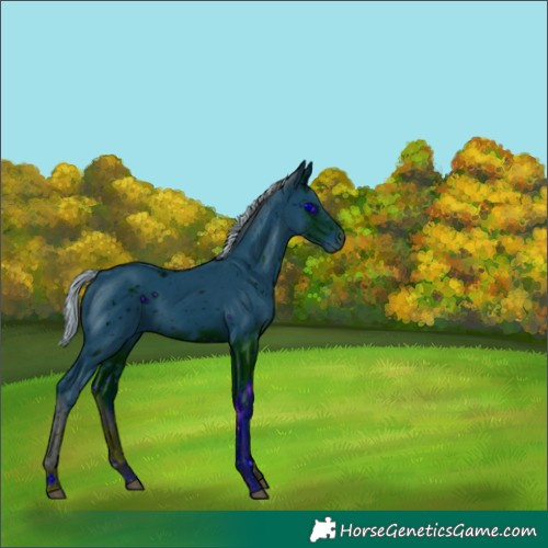 Horse Color:ERROR: UNKNOWN ANOMALY