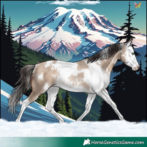 Horse Color:White Spotted Sable Champagne Dun Splash Rabicano 