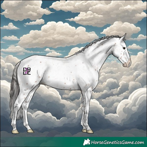 Horse Color:White Spotted Bay Sabino Splash 