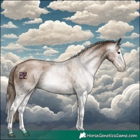 Horse Color:Gray White Spotted Black Pearl Splash 