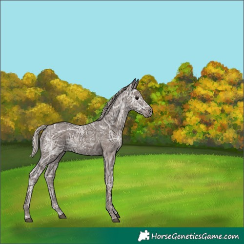 Horse Color:Silver Black Ice 