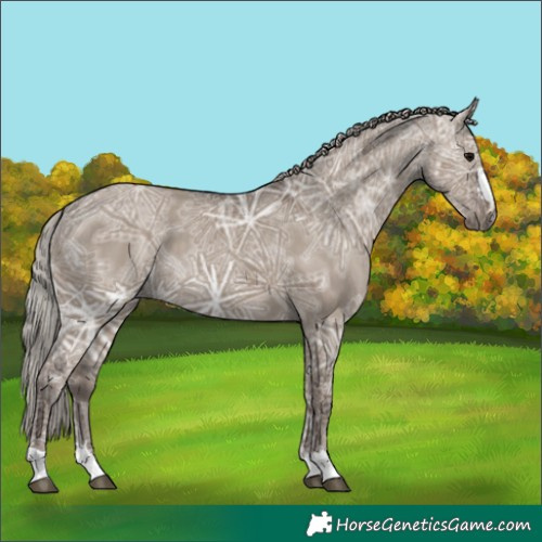 Horse Color:Silver Grullo Ice 