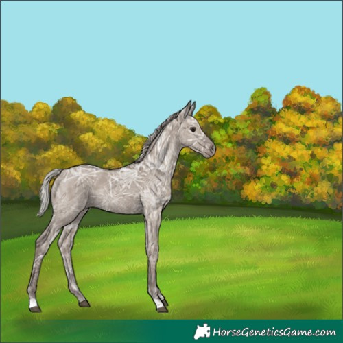 Horse Color:Silver Grullo Ice 