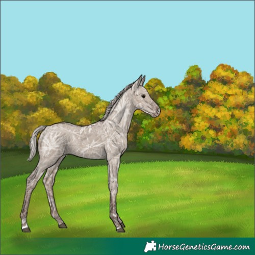 Horse Color:Silver Grullo Ice 