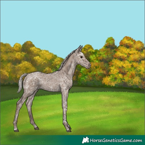 Horse Color:Silver Grullo Ice 