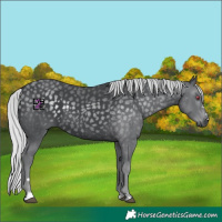 Horse Color:Silver Black Chinchilla