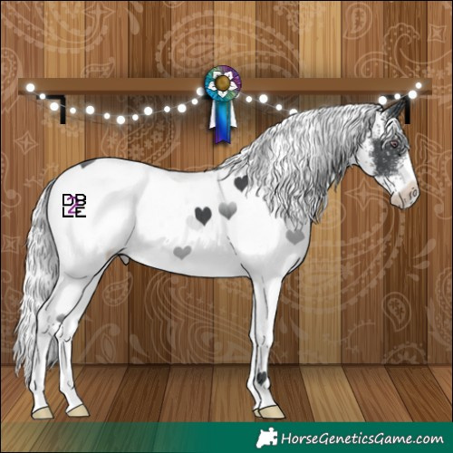 Horse Color:White Spotted Silver Black Chinchilla 