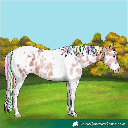 Horse Color:Painted White Spotted Silver Bay Dun Tobiano Leopard 