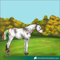 Horse Color:Painted Silver Grullo Ice Pearl Splash Tobiano Rabicano 