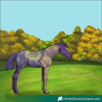 Horse Color:Watercolor White Spotted Liver Chestnut