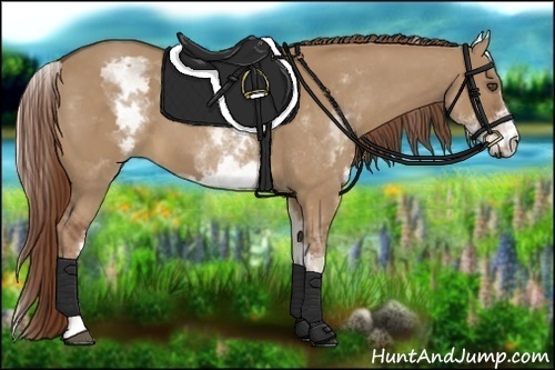 Horse Color:White Spotted Red Dun Frame 