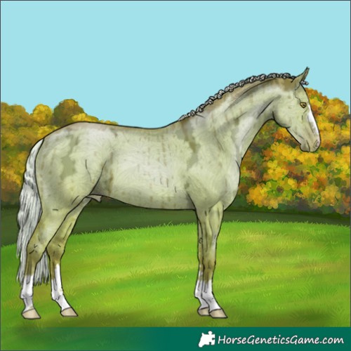 Horse Color:Silver Brown Ice Pearl Dun Brindle 