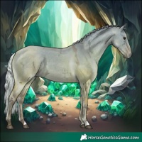 Horse Color:Silver Bay Ice Dun 
