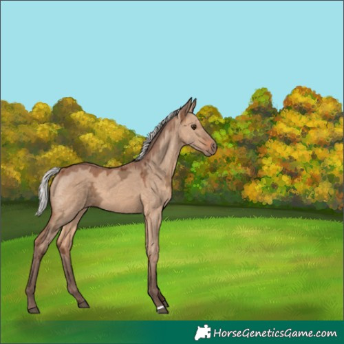 Horse Color:Silver Brown Ice Dun 