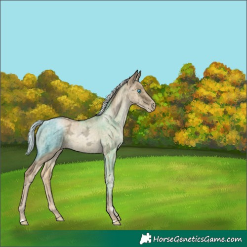 Horse Color:Silver Buckskin Ice Pearl Dun Brindle 