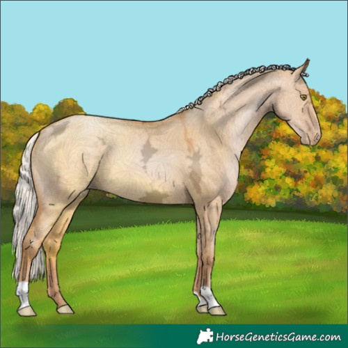 Horse Color:Silver Bay Ice Pearl Dun 