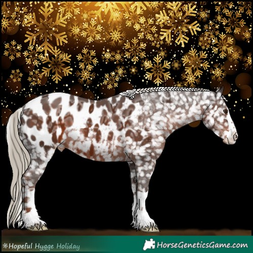 Horse Color:Liver Chestnut Ice Appaloosa 