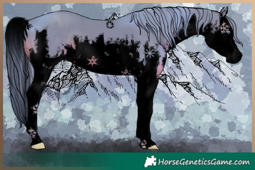 Horse Color:Void Watercolor White Spotted Black Splash 